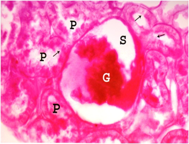 Figure 15