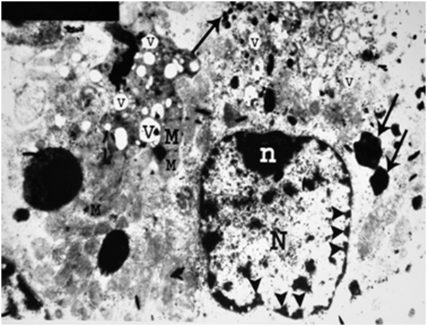 Figure 23