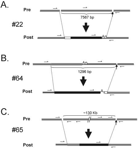 FIG. 6.