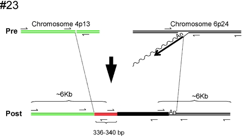 FIG. 5.