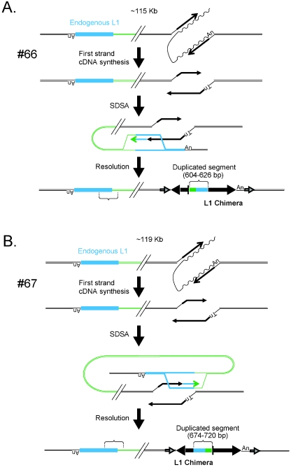 FIG. 4.