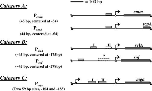 FIG. 5.