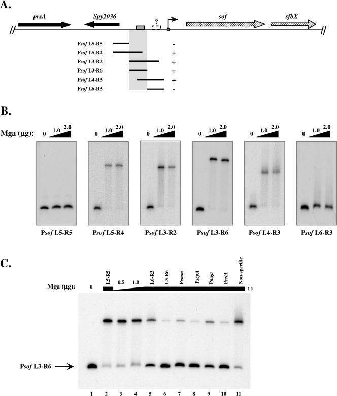 FIG. 2.