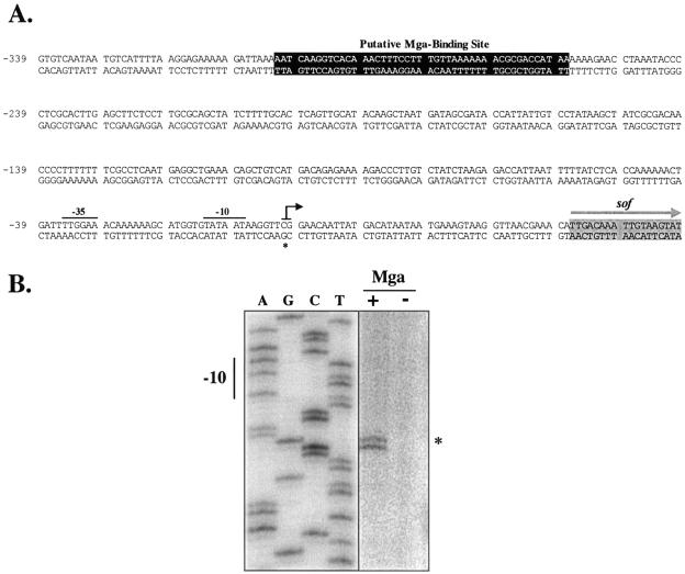 FIG. 1.