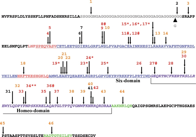 Figure 4.