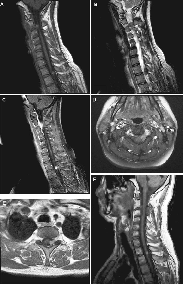 Fig. 1