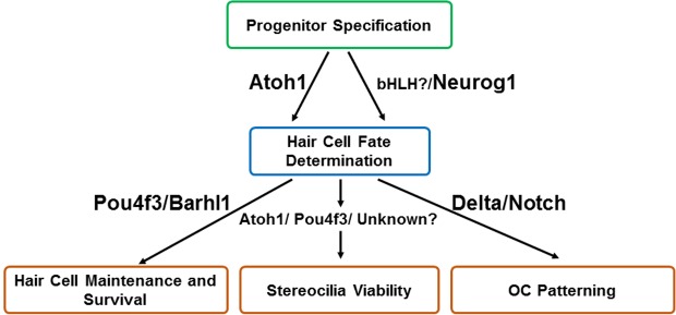 Fig. 11.