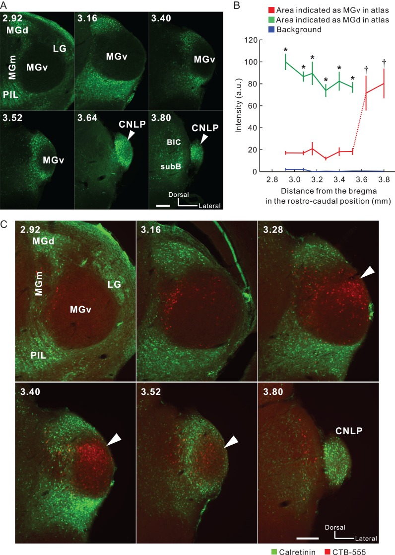 Figure 3.