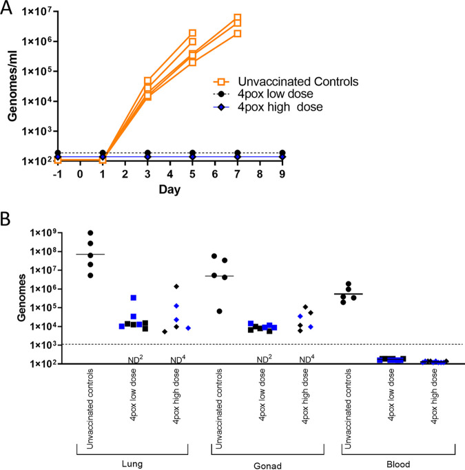 FIG 4