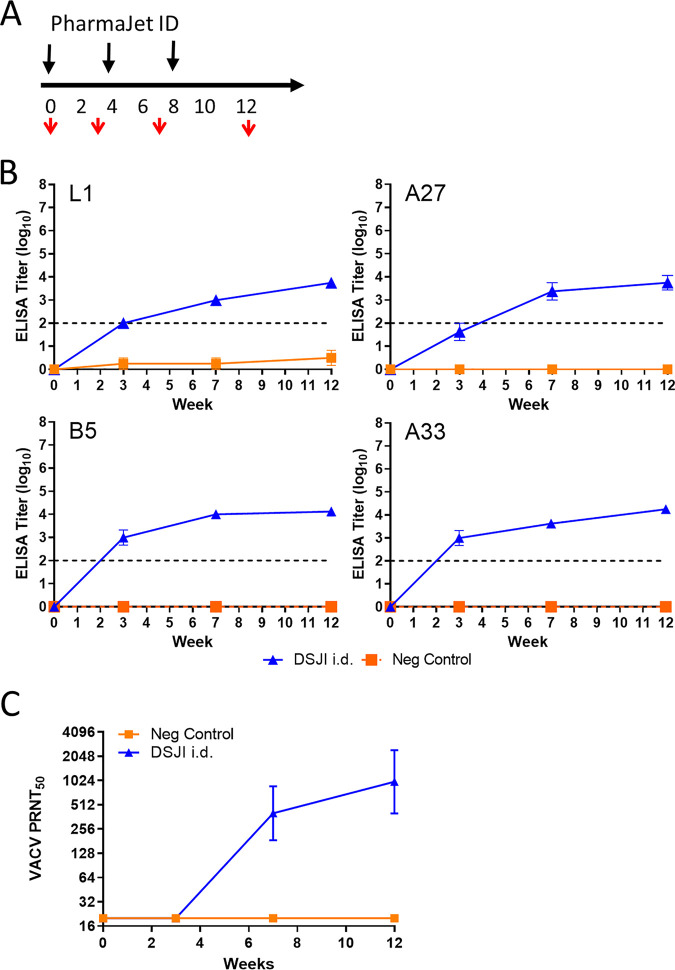 FIG 6