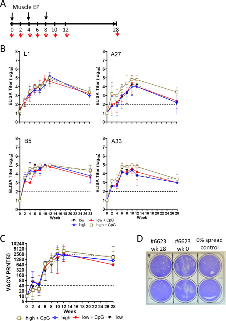 FIG 2