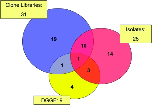 Figure 2.—