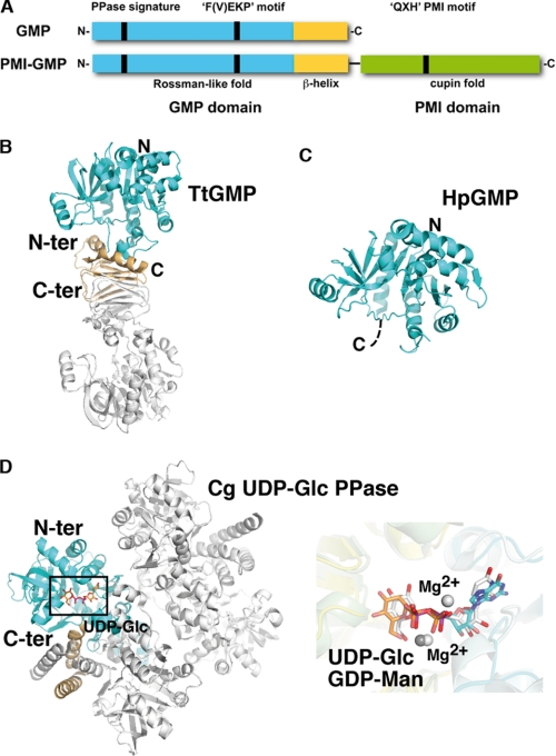 FIGURE 4.