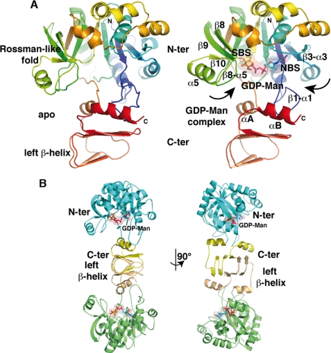 FIGURE 1.