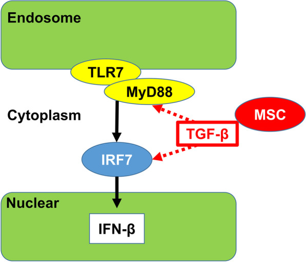 Fig. 7