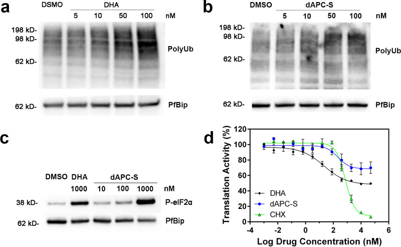 FIG 6