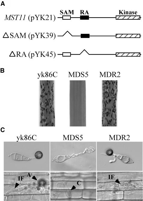 Figure 7.