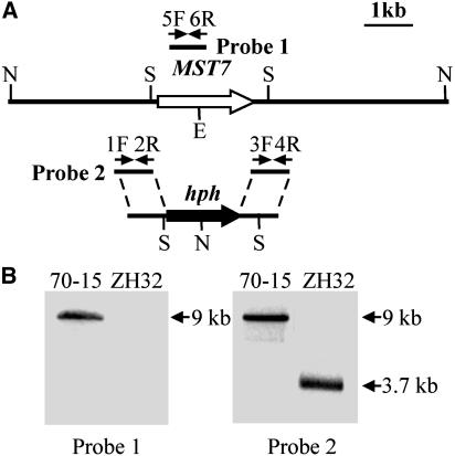 Figure 2.