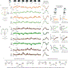 Extended Data Figure 4 |