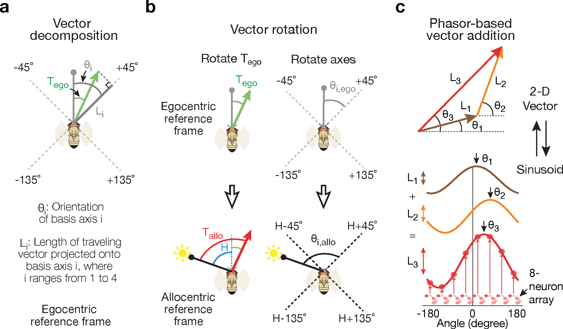 Figure 2 |