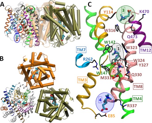 FIGURE 1.