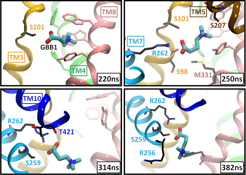 FIGURE 5.