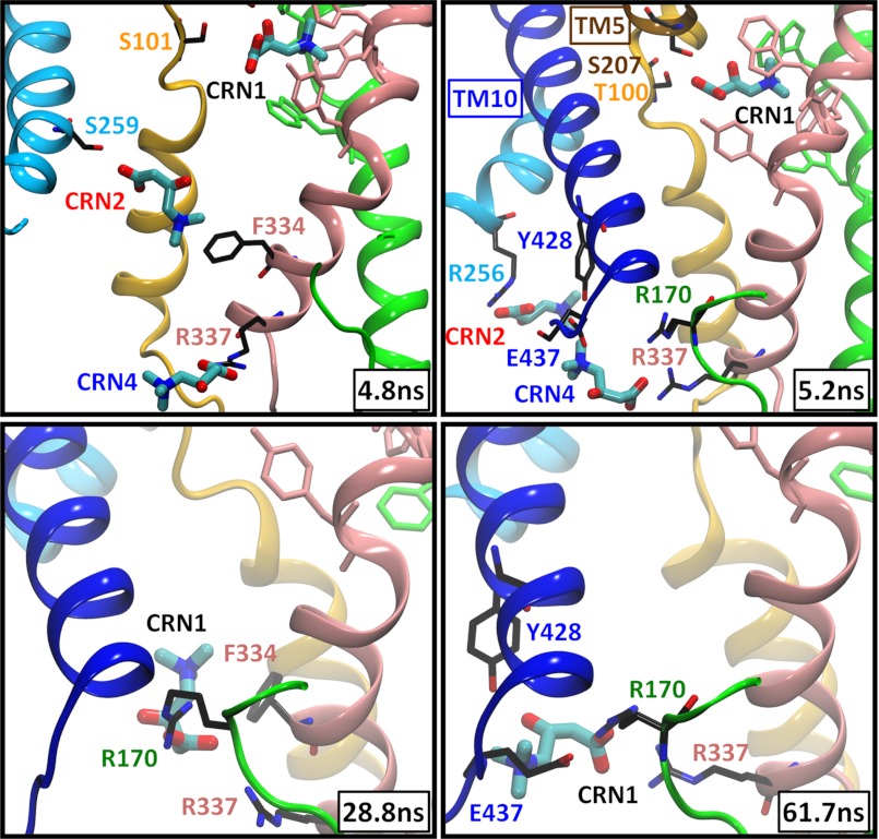 FIGURE 3.