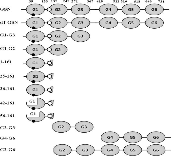 FIGURE 1.