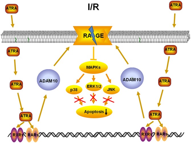 Fig 10