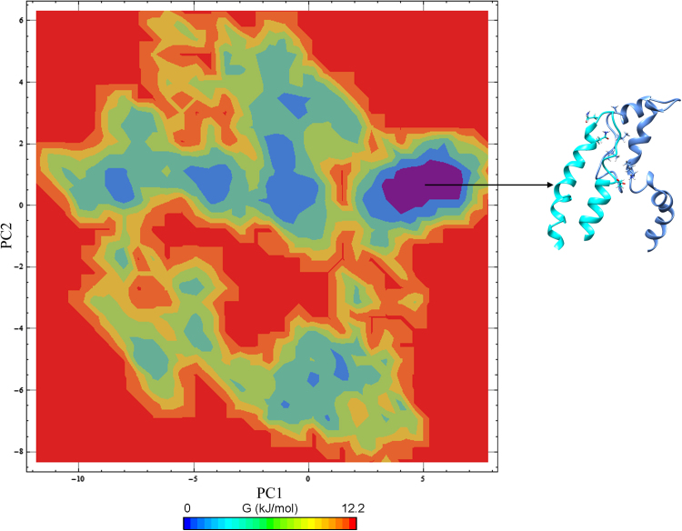 Fig. 10