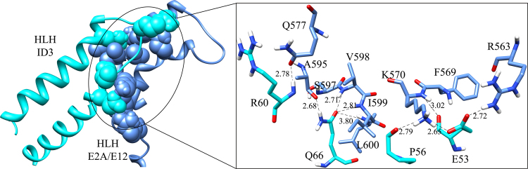 Fig. 8