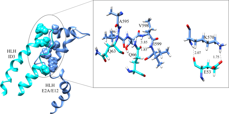 Fig. 11