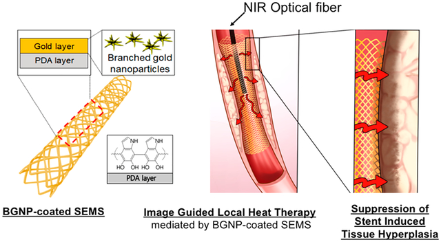 graphic file with name nihms-1560648-f0001.jpg