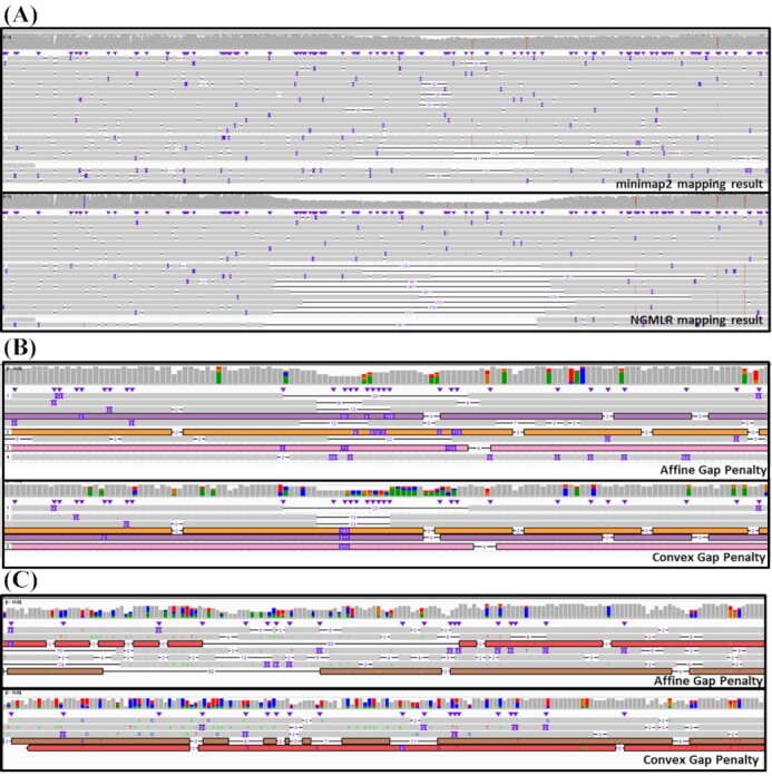 Figure 4: