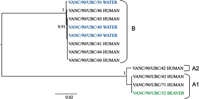 FIG 2