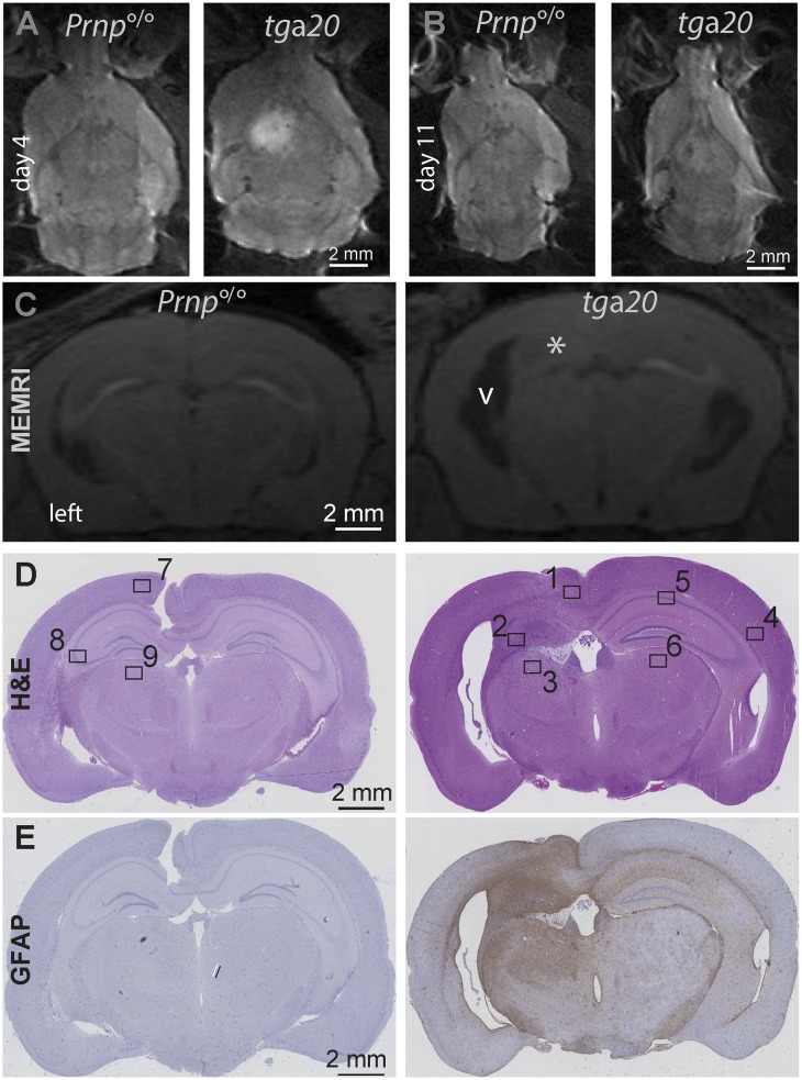 Fig 4