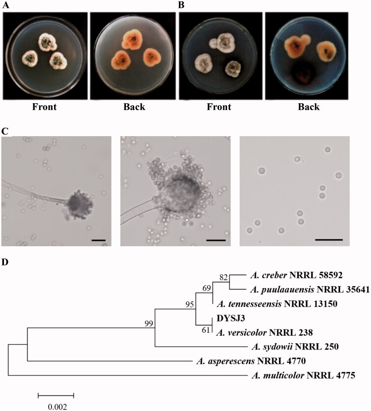 Figure 1.