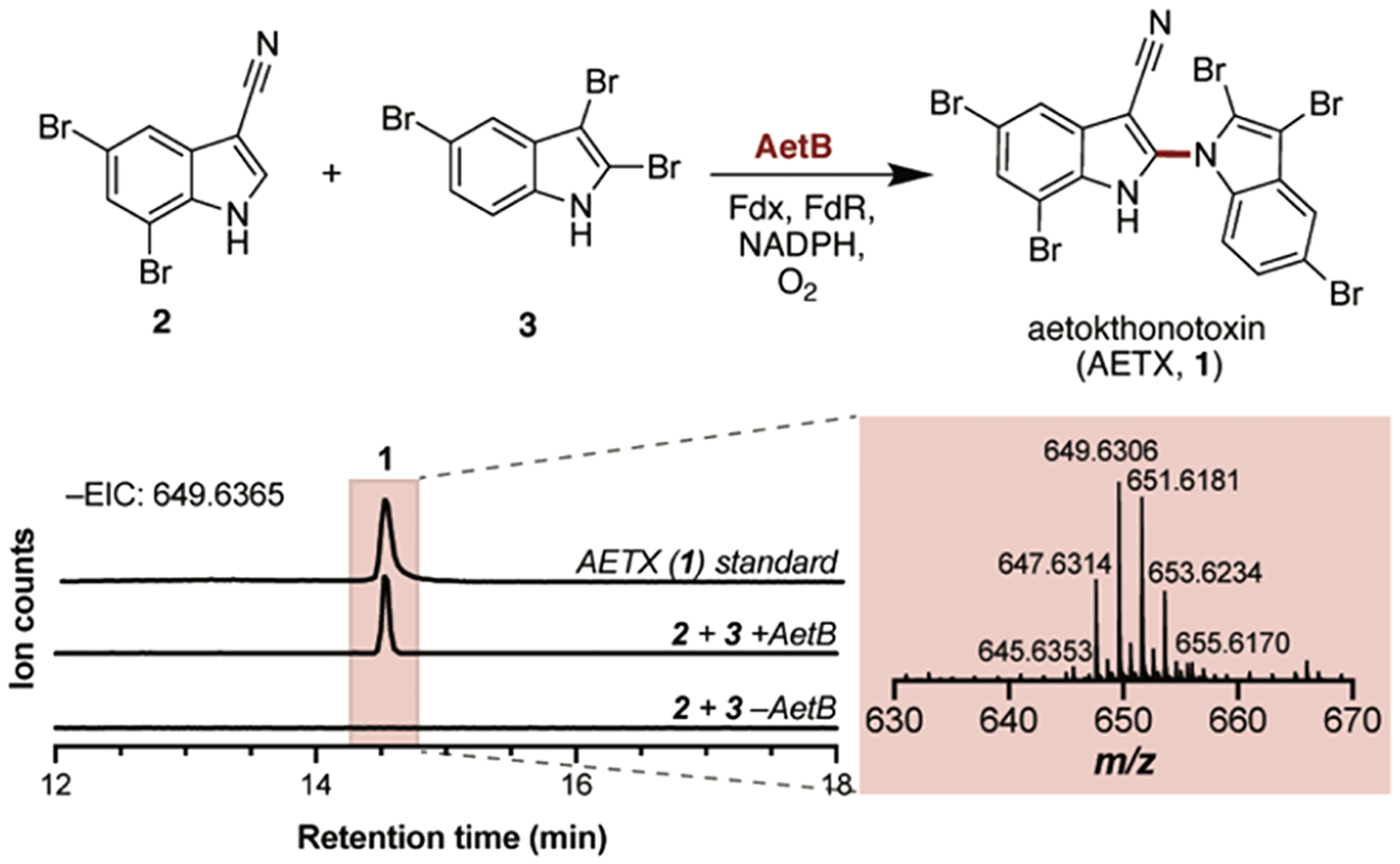 Figure 3.