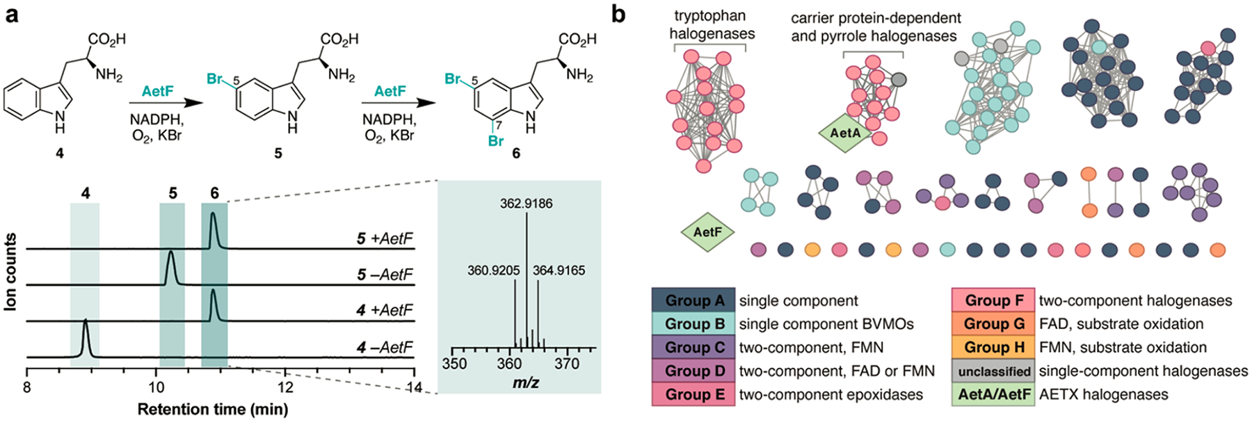 Figure 2.