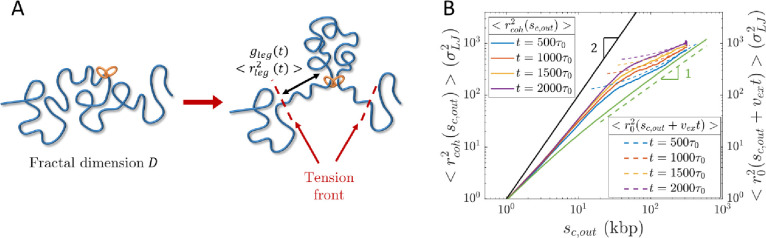 Figure 10: