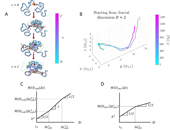 Figure 11: