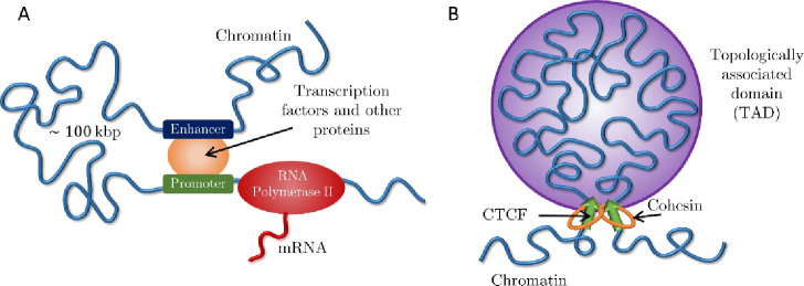 Figure 1: