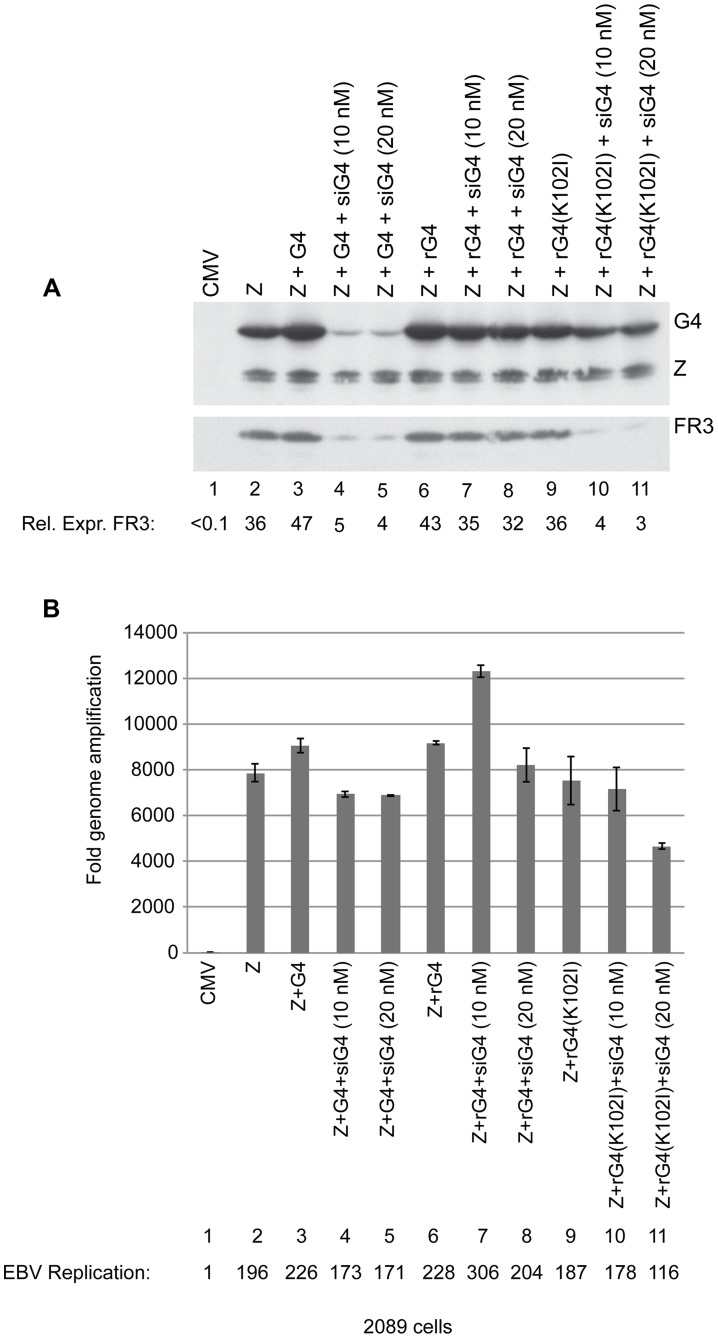 Figure 5