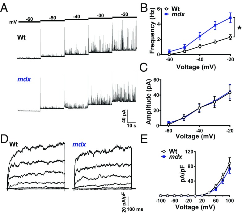 Fig. 4.