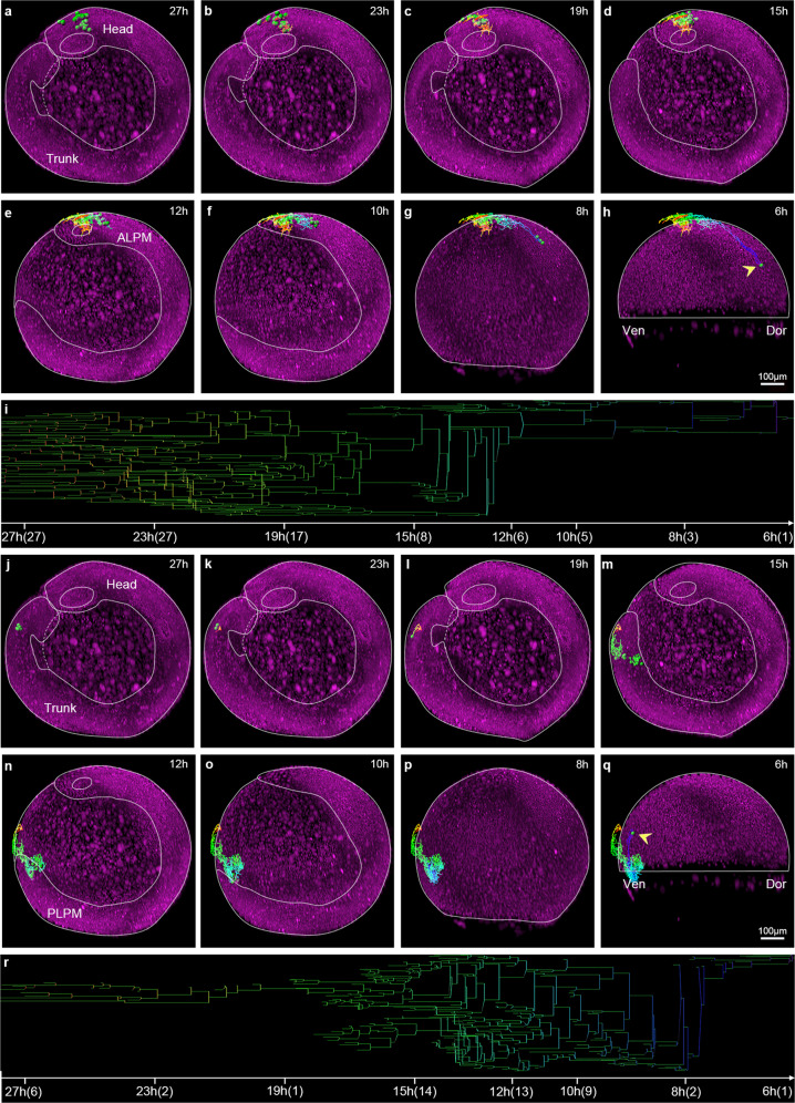 Fig. 3