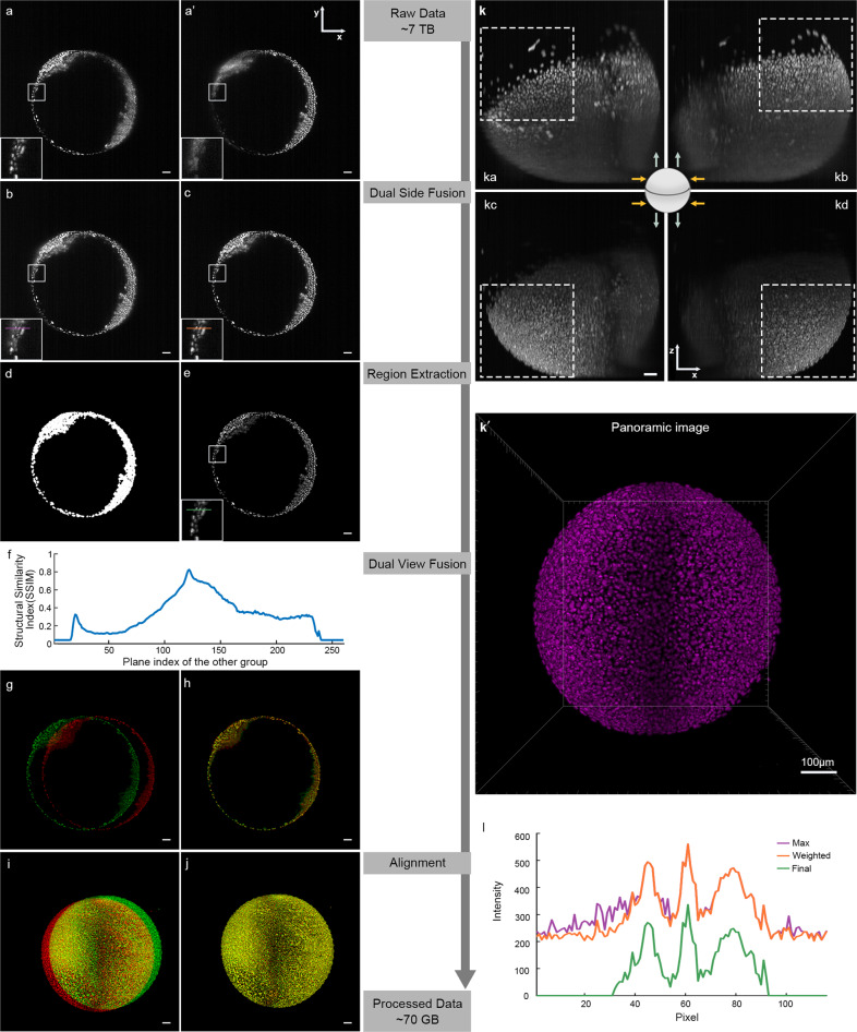 Fig. 2