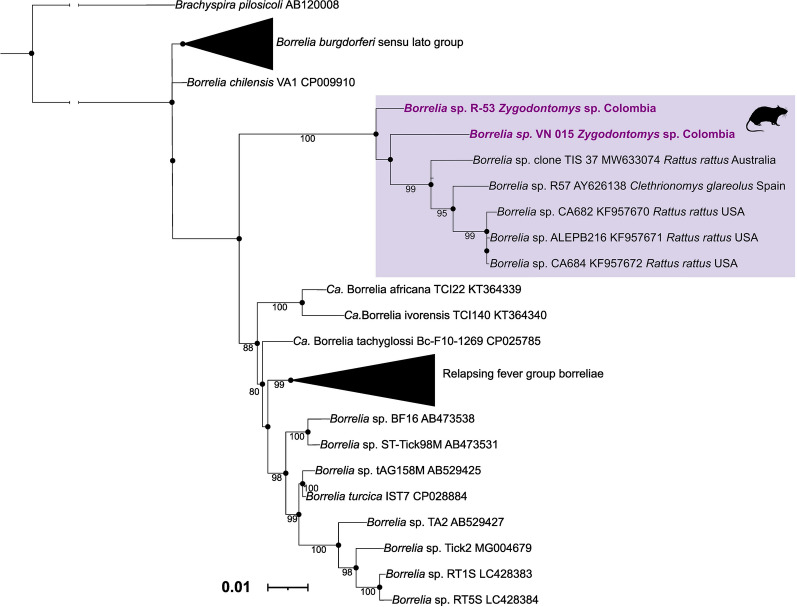 Fig. 2