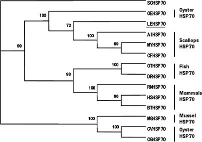 Fig 3.