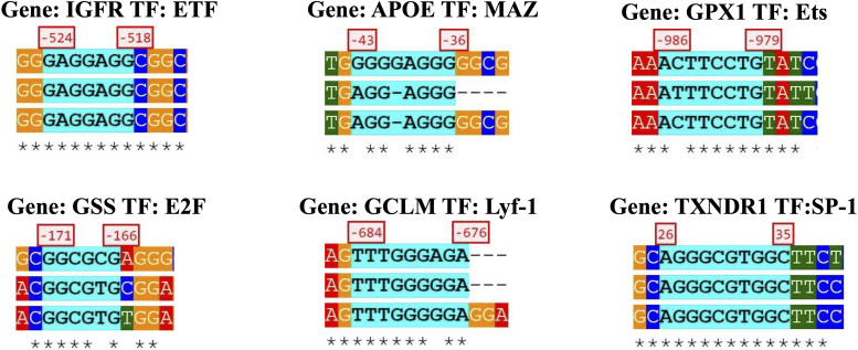 FIGURE 4