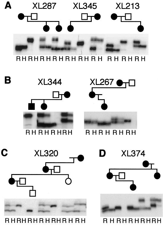 Figure  3